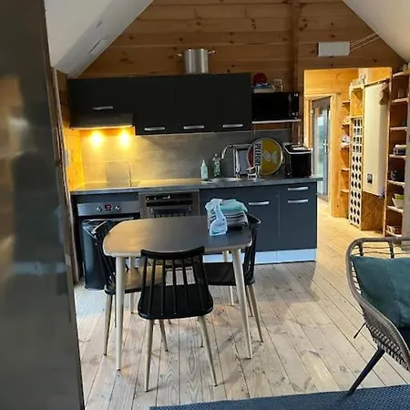Chalet Contemporain Familial Alpehytte *
